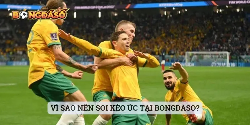 Vì sao nên soi kèo Úc tại bongdaso?