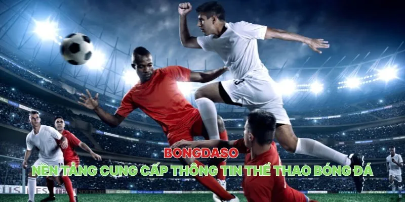Tổng quan về thương hiệu Bongdaso